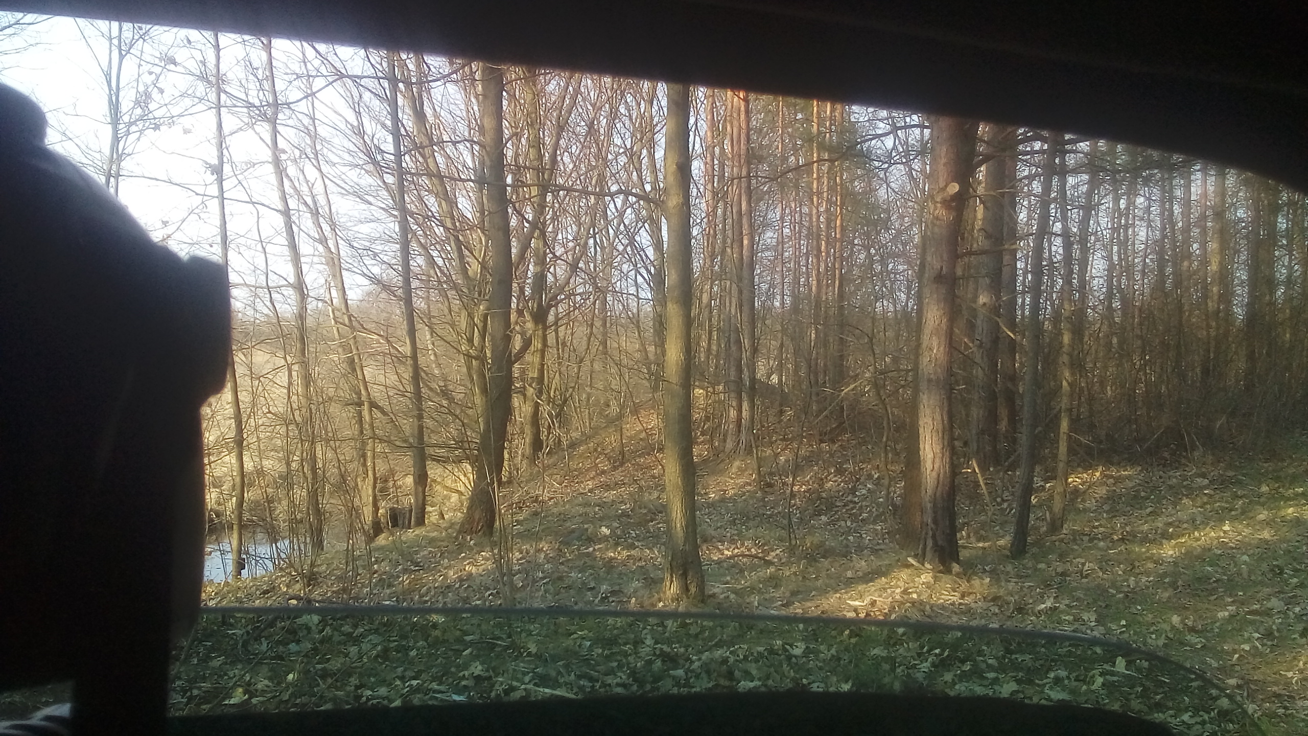 20190409_172501.jpg